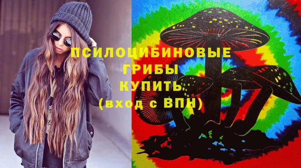дживик Арсеньев