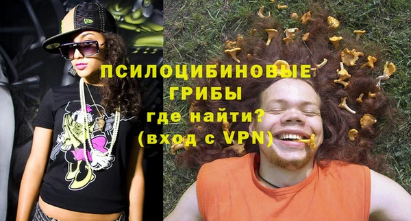 дживик Арсеньев