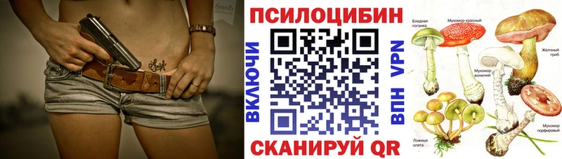 Галлюциногенные грибы Magic Shrooms  Купить  Шилка 
